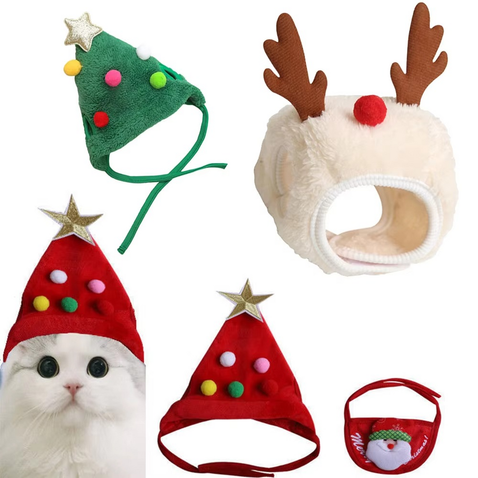 MerryPaws Santa Costume