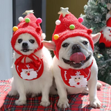 MerryPaws Santa Costume