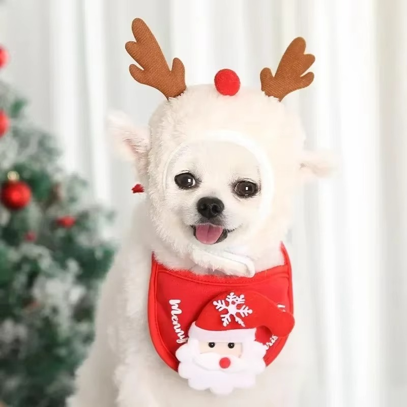 MerryPaws Santa Costume