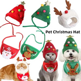 MerryPaws Santa Costume
