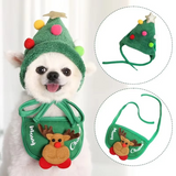 MerryPaws Santa Costume